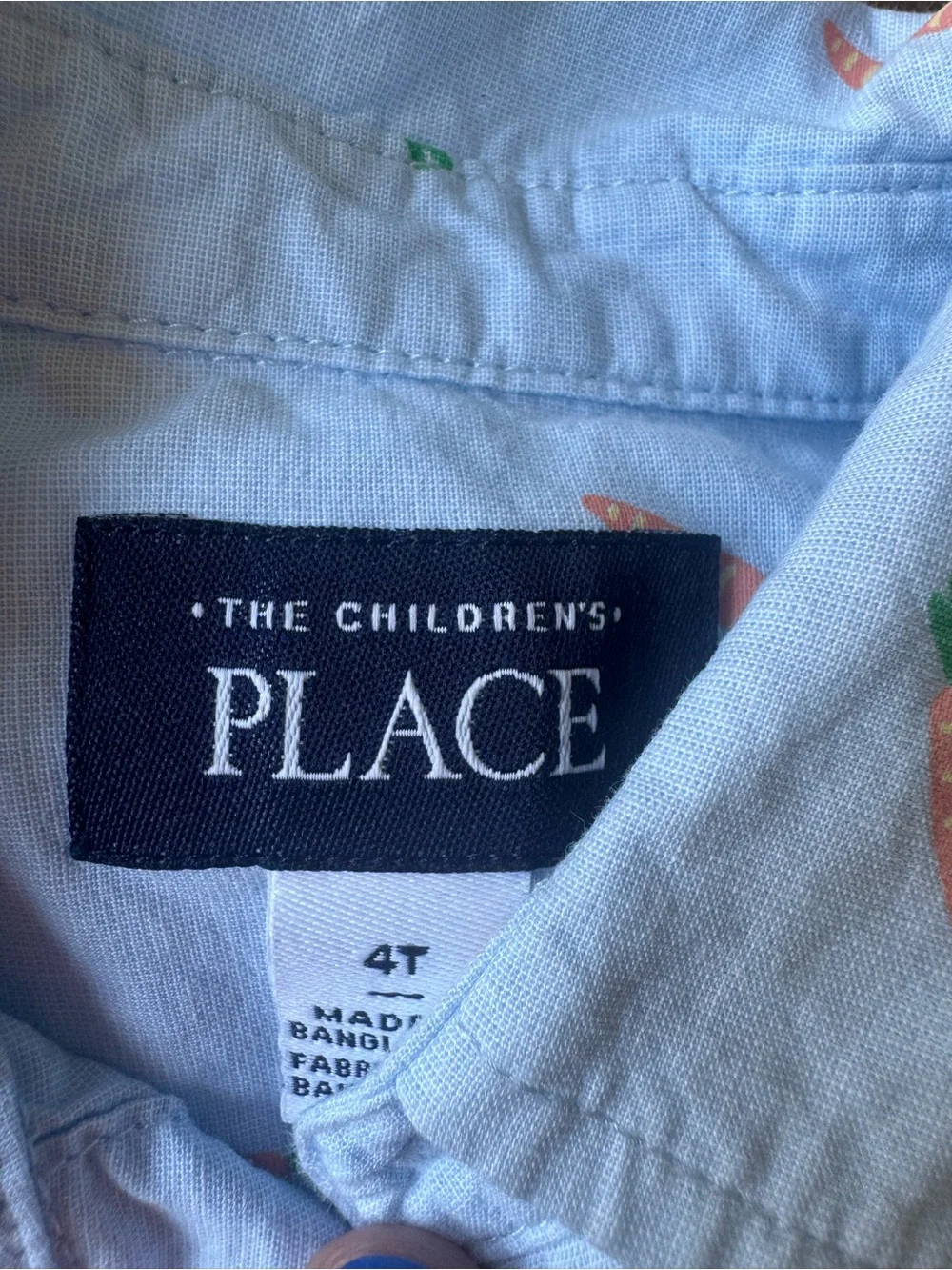 The Children's Place Pale Blue Button-Up Shirt with Carrot Print